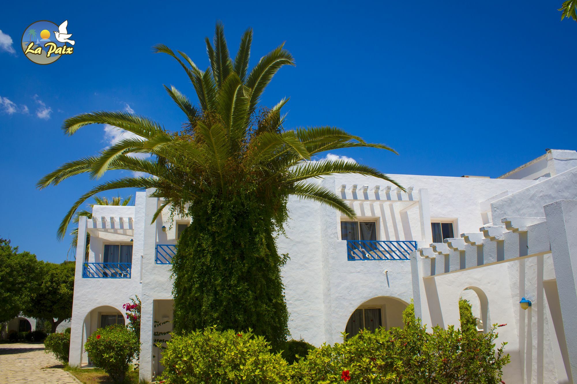 Hotel Residence La Paix Хаммамет Экстерьер фото